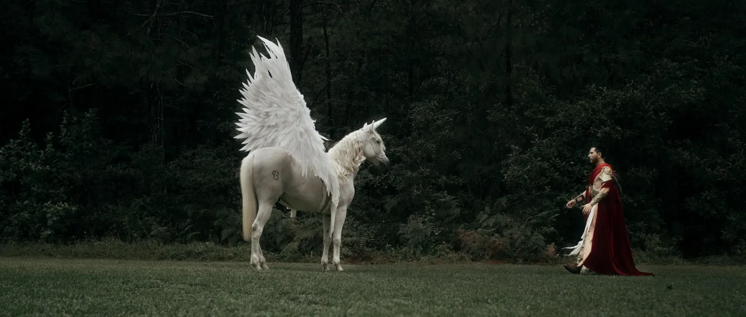 Avalon's Legendary Warriors · 11