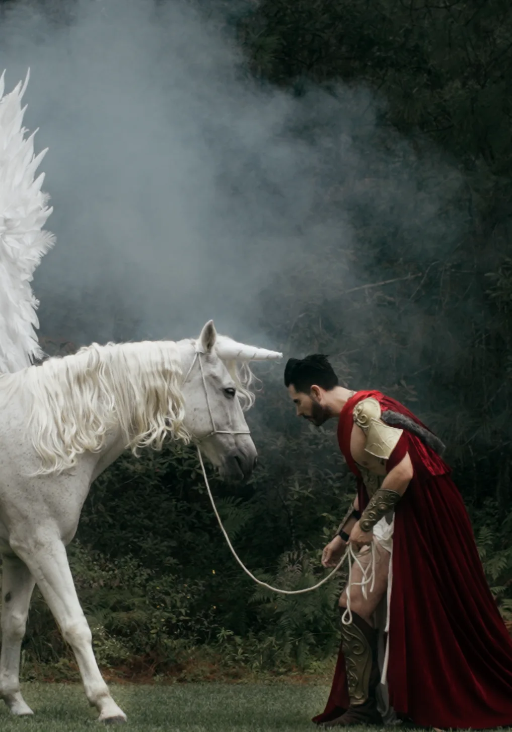 Films & Commercials · 3