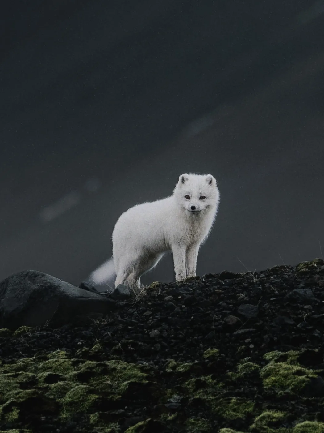 Islandia